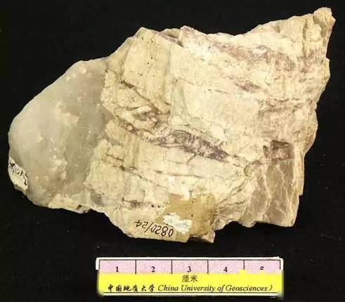 天道礦產品研究院 金屬類礦石 二